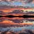 Diane Marra's profile image