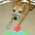 Louan Dowen's profile image
