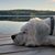 Rosanne Czorny's profile image