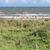 Denise Godin Brucker's profile image