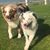 Ann Hazelbaker's profile image