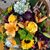 Carol Styron Sander's profile image