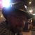 Luke Whitbeck's profile image
