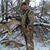 Erick Trombly's profile image