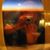 BRett TieFau's profile image
