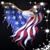 Nancy Wolter Mills's profile image