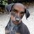 Selim Selimi's profile image