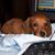 Sandy Park's profile image