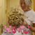 Debbie Bennett Griffith's profile image