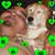 Tina Trow's profile image