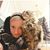 Amanda Rose's profile image