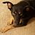 Donna Lasater's profile image