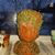Colleen Kern Grudzien's profile image