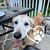 Kathleen Herman's profile image