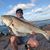John Gualy's profile image