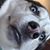 Jonathan Alley's profile image