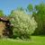 Mary Jo Schmitt Weber's profile image