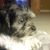 Olga Estela Garibay's profile image