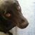Shelly D Ford-Prytherch's profile image
