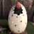 Jason Cook's profile image