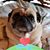 Kathie Anderson's profile image