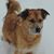 Megan R. Webb's profile image
