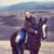 Judith Horton's profile image