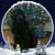 Lawrie Kuhn Willis's profile image