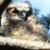 Gail Reilly's profile image
