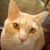 Barb Reynolds's profile image