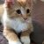 Carolyn Kendall's profile image
