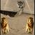 Jeanette JJ Jones's profile image
