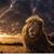 Baltazar Ros's profile image