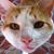 Connie Hicks's profile image