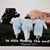 Kathy Greenfield Andrews's profile image