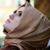 Doaa Elawadi's profile image