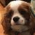 Camden Webb's profile image