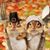Pam Metzger's profile image