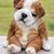 Sandi Schaffer Stamp's profile image