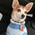 Kimmy Gilberts's profile image