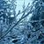 Michelle Arnold Tallman's profile image