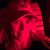 Margaret Chadwick Gambino's profile image