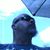 Jeff Strasser's profile image
