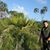 Mike Veale's profile image