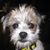 Newton Ron Beverly's profile image