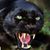 Mary Gonzalez's profile image