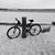 Maureen Composto's profile image