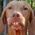 Riki Garbanzo's profile image