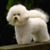 Tia B.'s profile image
