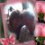 Peble Sorensen's profile image
